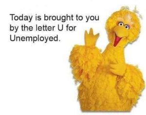 bigbird