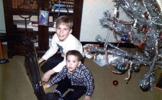 Killer Christmas Trees – The damage they have done.